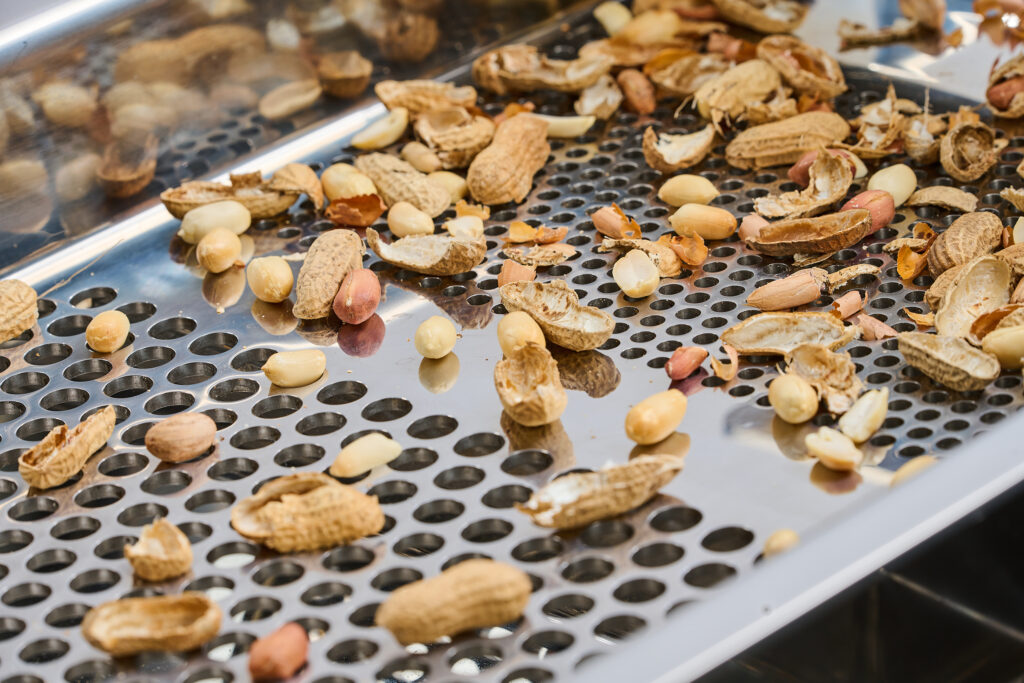 Cacahuetes en una máquina cribadora en el sector de la transformación de alimentos.