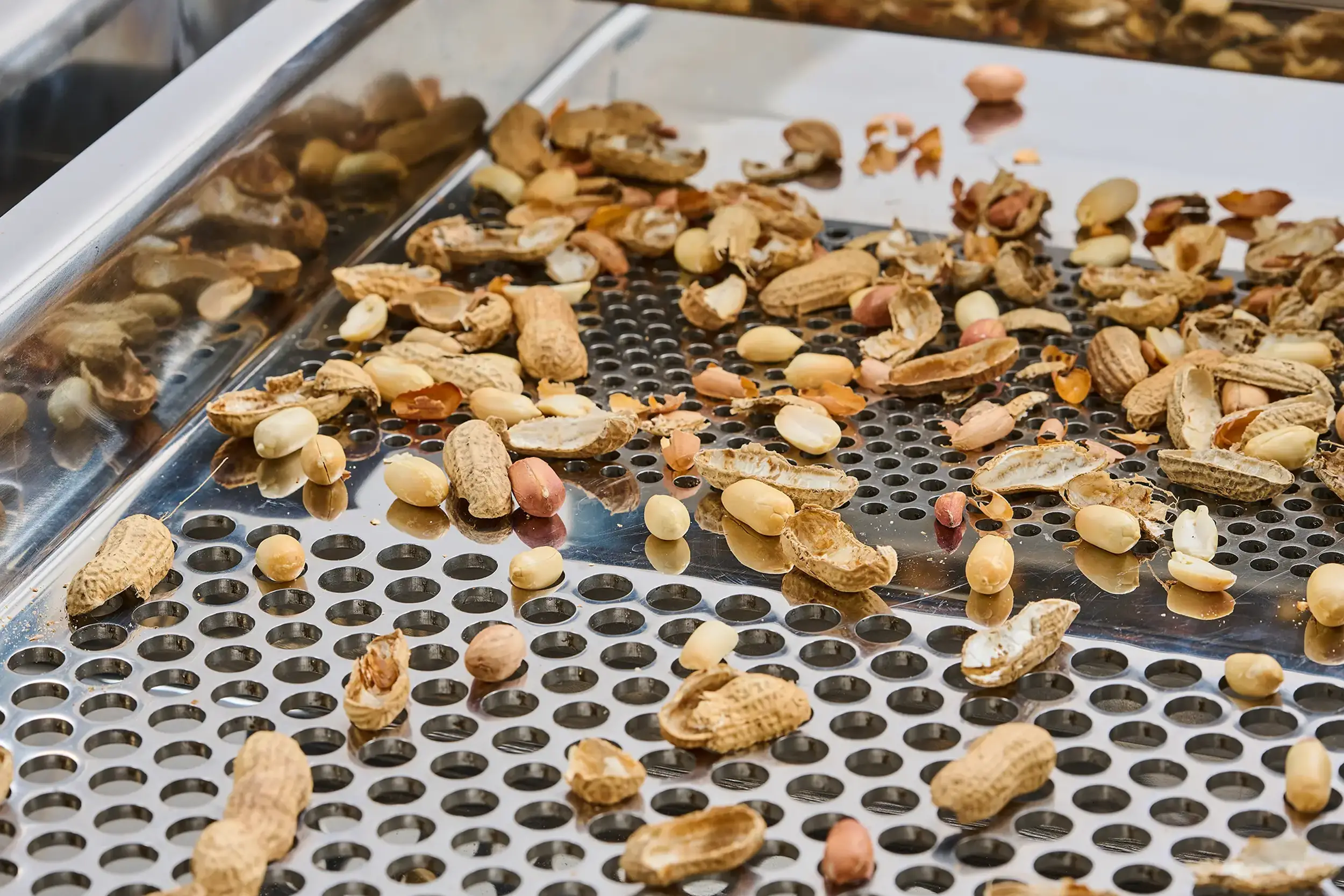 Cacahuetes y cáscaras en un tamiz, dentro de una máquina de cribado de control y protección.